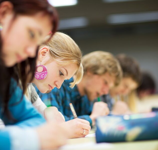 Klassefoto meisje met roze oorbel klein
