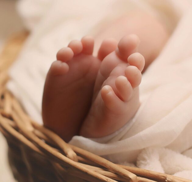 pexels pixabay 161534 1 scaled e1765892733511